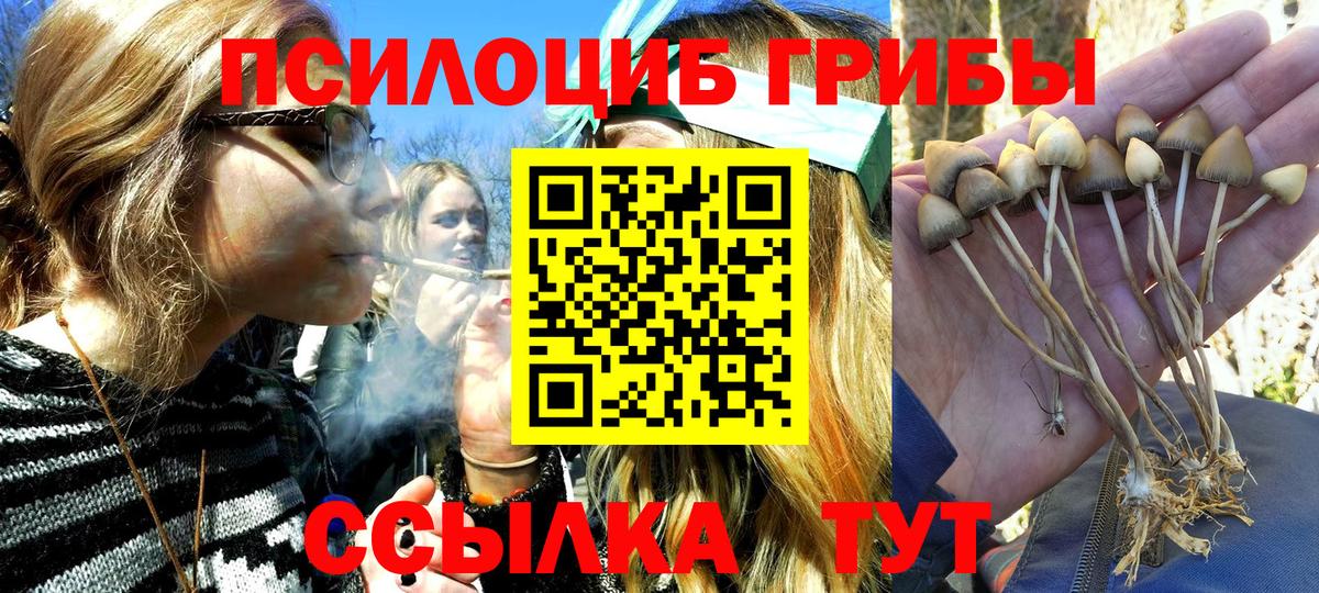Псилоцибиновые грибы мухоморы  Вход с VPN  Тобольск 